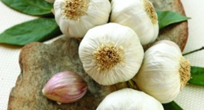 Hallottál már a fokhagyma jó tulajdonságairól? Egészségmegőrző, megfázásos megbetegedések megelőzésére kíválóan alkalmas. Íme itt egy recept, mellyel az ereken lerakódott meszesedés is feloldható! A fokhagyma egészségmegőrző és javító tulajdonságai, meszesedés elleni kúra