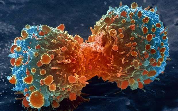 mi a különbség a daganat és a rák között