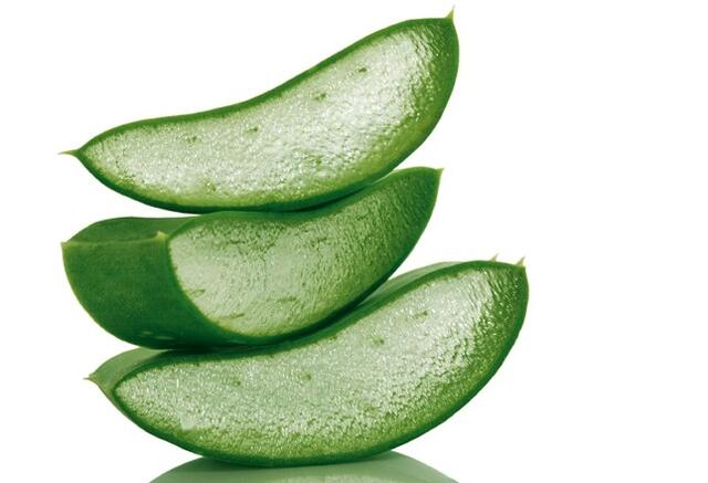 Így hsználd az Aloe Verát külsőleg és belsőleg Az aloe vera a természet igazi gyógyító ajándéka, melyet otthon is tarthatsz. Ha Neked is van, most megtudhatod, hogy használd