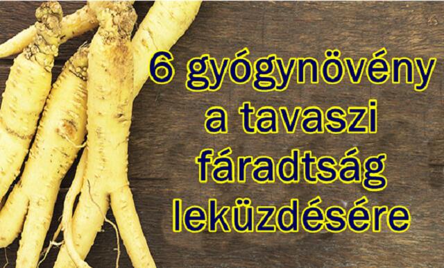 Gyógynövény tavaszi fáradtság ellen