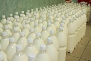 Új Mező tej