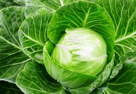 Újabb kutatások szerint a klorofill, amitől zöld színben pompáznak zöldségeink, gyümölcseink, megvédhet a ráktól is, de rendszeres fogyasztása kiváló erősítő a szervezetünk számára.