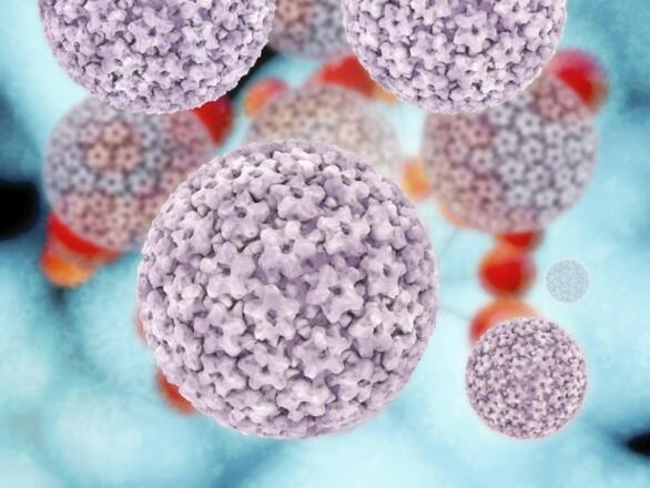 Meglepő vallomás a HPV elleni védőoltás egyik vezető kutatójától! Meglepő vallomás a HPV elleni védőoltás egyik vezető kutatójától!