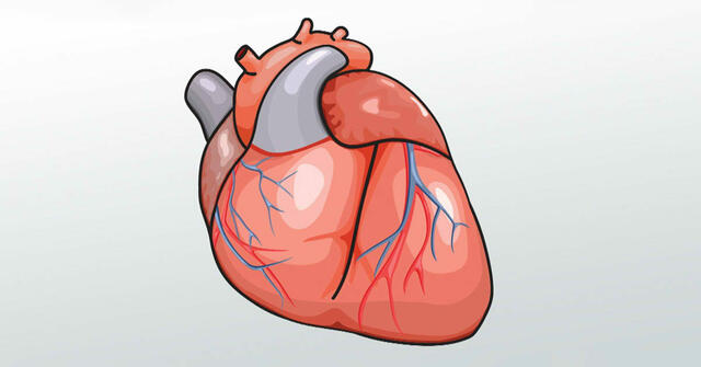 Ezek az állapotok okozhatják a gyors szívverést