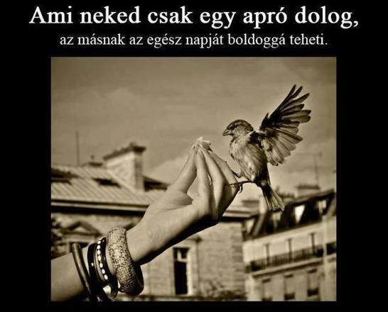 Kezdd el Önmagadért ezt a 25 dolgot! Ezeket a dolgokat kell elkezdened Önmagadért!