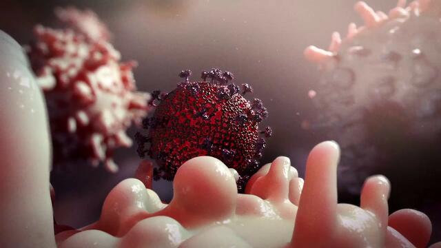 Forradalmi siker! Egy HIV fertőzött teljesen kigyógyult a betegségből! Őssejttel gyógyult ki a HIV betegségből