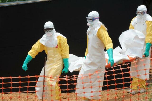 Az Ebola vírus, ami gyorsan és könnyen változik. 