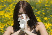 Megelőzni az allergia kialakulását?