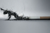 A dohányzás az egyik legrosszabb káros szenvedély, mely nagyon sokat árt az egészségnek! A szakorvosok csaknem két évtizede felhívták a figyelmet arra, hogy az erős dohányosok között gyakoribb a csonttörés és erősebb a csontritkulás, mint a nemdohányzók k