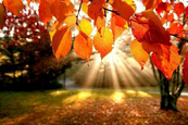 Az ősz sokszínűsége - az őszi depresszió, lehangoltság ellen