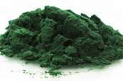 A spirulina algát a „szuperételek” kategóriába sorolják, és nem érdemtelenül. Ez a jelző olyan élelmiszereket jelöl, amelyek teli vannak tápanyagokkal, számos enzimet tartalmaznak, magas a klorofilltartalmuk, és összességében bázikus hatást mutatnak a sze