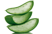 Így hsználd az Aloe Verát külsőleg és belsőleg Az aloe vera a természet igazi gyógyító ajándéka, melyet otthon is tarthatsz. Ha Neked is van, most megtudhatod, hogy használd