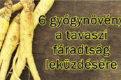 Gyógynövény tavaszi fáradtság ellen