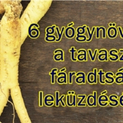 6 gyógynövény, mellyel leküzdheted a tavaszi fáradtságot! 6 gyógynövény, mellyel leküzdheted a tavaszi fáradtságot!