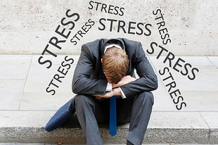 Stressz, stresszfiziológia Stressz, stresszfiziológia