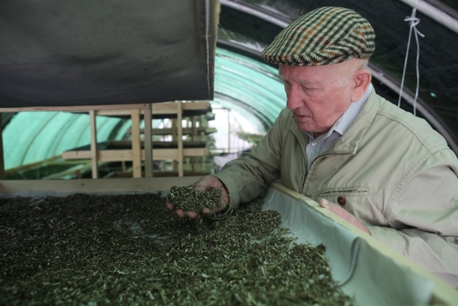 Szabó Gyuri bácsi előadása Győrben Szabó Gyuri bácsi előadása Győrben
